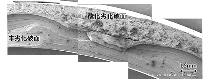 酸化劣化したゴム部品の亀裂断面の電子顕微鏡写真