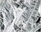 樹脂破損断面の電子顕微鏡写真