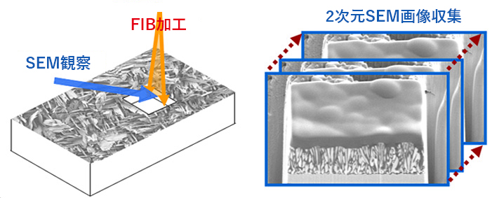 FIB加工＋断面SEM観察