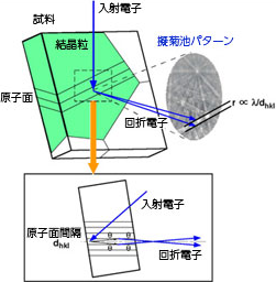 EBSDとは？