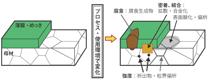 物理解析・ナノ材料解析の役割