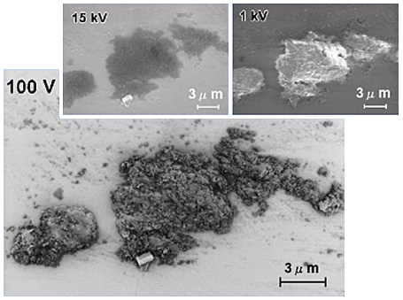 極低加速電圧での、Siウエハ上に付着した有機物の観察試料処理：無、加速電圧：100V