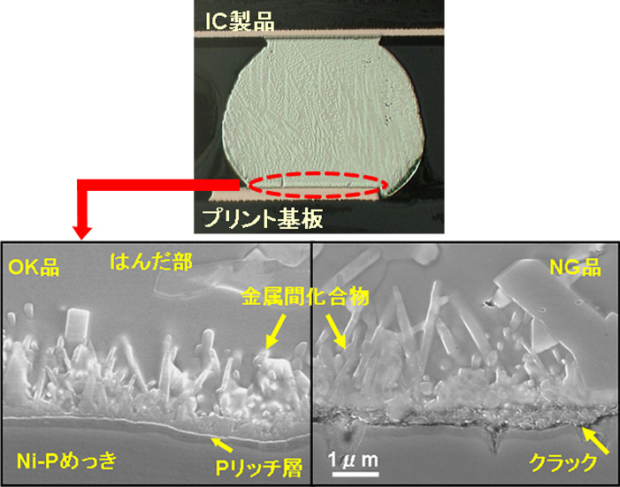 はんだ／プリント基板接合界面の断面SEM像