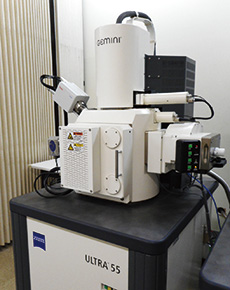 極低加速電圧走査電子顕微鏡