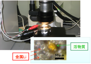 充放電サイクル末期の金属Li析出の様子