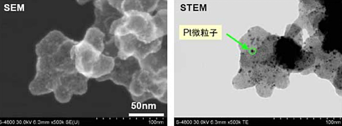 Pt触媒（白金触媒）/C担体の高分解能SEM-STEM観察