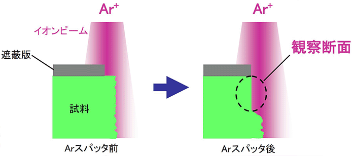 図1　断面イオンミリング加工のイメージ