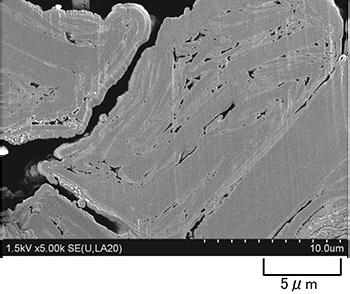 大気非暴露による断面イオンミリング加工後のFE-SEM像