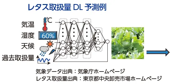 レタス取扱量DL 予測例