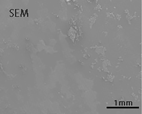 CFRP表面付着物のSEM