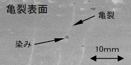 電子顕微鏡写真