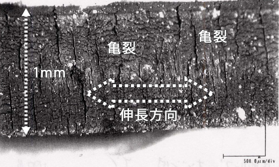 オゾン劣化による亀裂発生状況