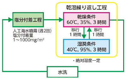 シュトラウス試験写真