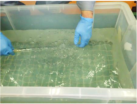 水中におけるリークの様子