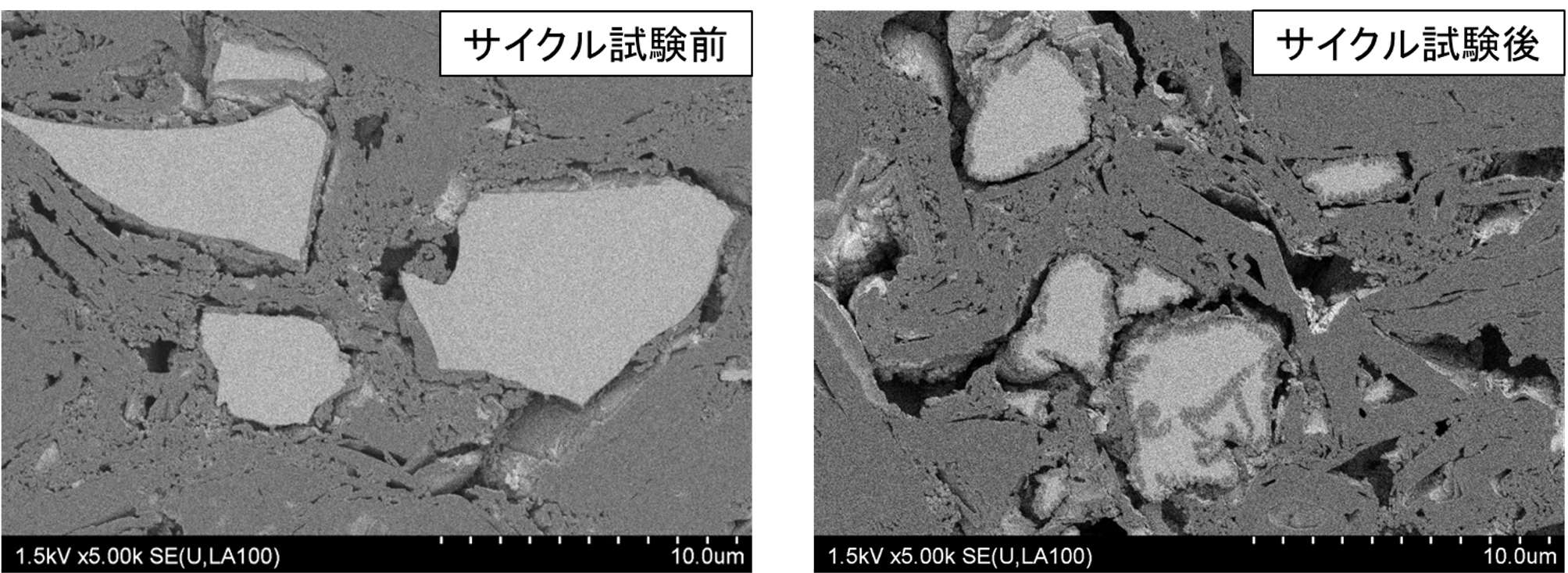 負極断面SEM観察(左：サイクル試験前、右：300サイクル試験後)