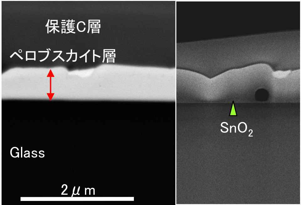 Glass、SnO2、ペロブスカイト層構造のFIB断面のSEMおよびSTEM-HAADF像