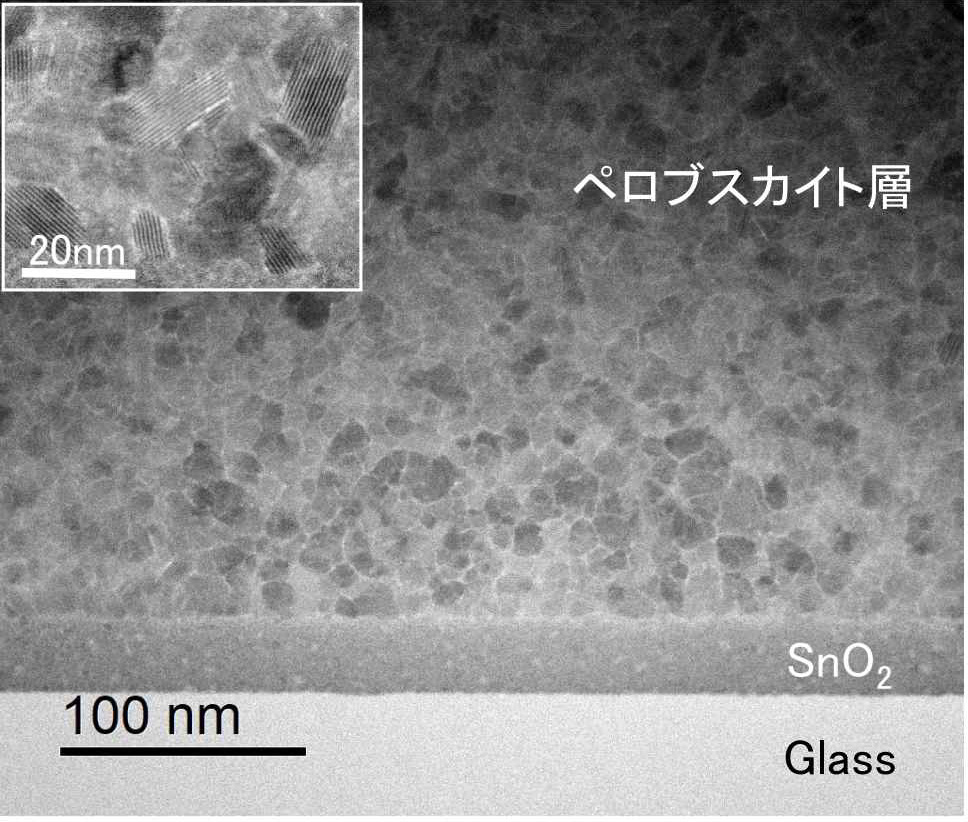 Glass、SnO2、ペロブスカイト層界面のSTEM像