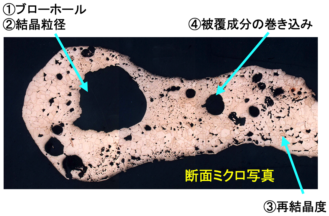 断面ミクロ写真
