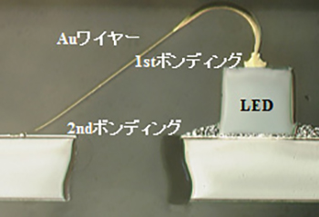 LEDの断面（Auワイヤーの1st、2ndボンディング部分）