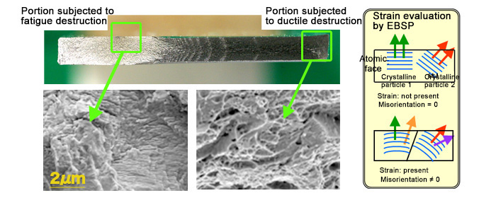 Surface Fracture Face Observation by SEM