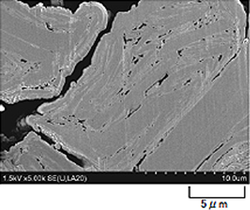 Photo 1: FE-SEM image after cross-sectional iron milling without exposure to atmosphere