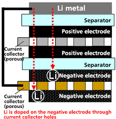 Cell structure of LIC