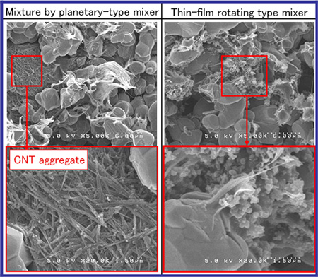 Cross sectional SEM images of LCO positive electrode film (CNT addition)