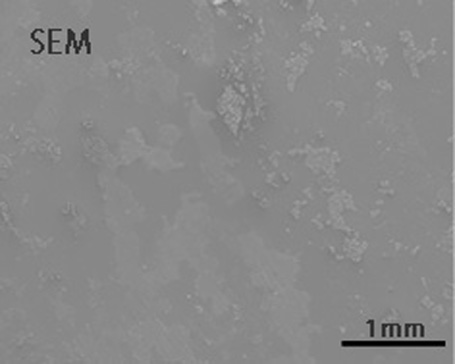 Scanning electron microscopy (SEM)-energy dispersive X-ray spectroscopy (EDX) of the deposit on the CFRP surface