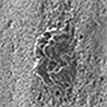 Pore corrosion of Au plating