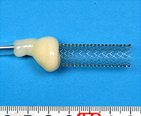 Photo Sample electrode (stent)