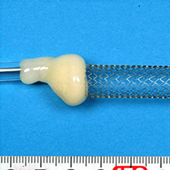 Evaluation of stent corrosion resistance (corrosion evaluation)