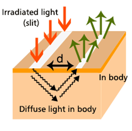 Principle of Skin Analysis System2