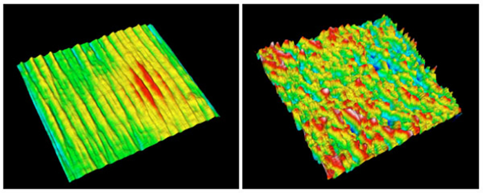 [Bird's eye view of thickness distribution]