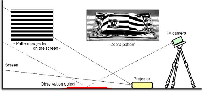 Fig. 1: Optical system for zebra pattern observation
