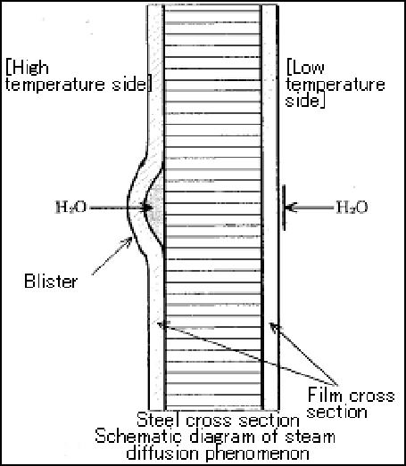 Schematic diagram of steam diffusion phenomenon