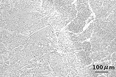 Microstructure of bond part