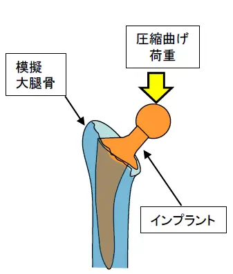 圧縮曲げ試験