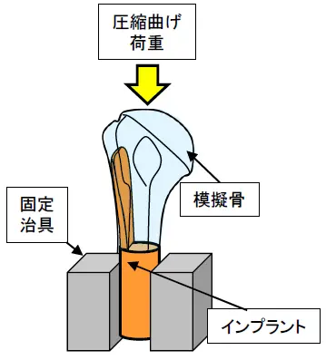 圧縮曲げ試験2