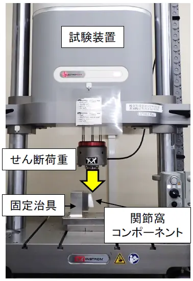 静的せん断試験の外観