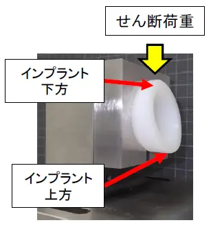 人体下方から上方へのせん断荷重試験