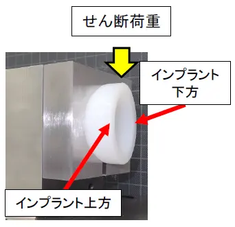 人体前方から後方へのせん断荷重試験