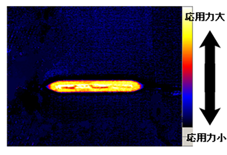 応力分布画像