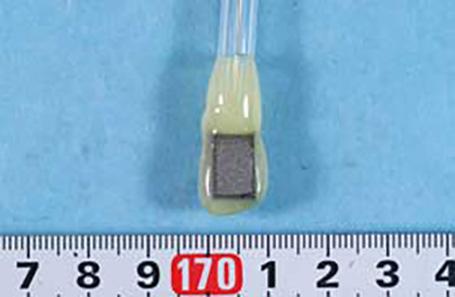 人工関節から採取した試料電極