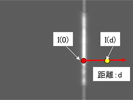 観察例　（肌特性の観察）