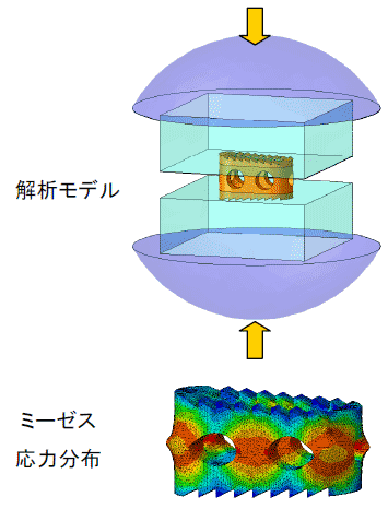 圧縮試験（上：解析モデル/下：ミーゼス応力分布）