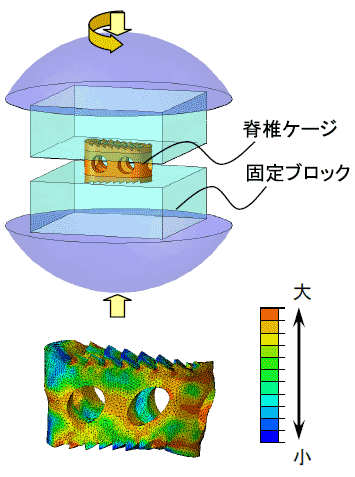 ねじり試験（上：解析モデル/下：ミーゼス応力分布）