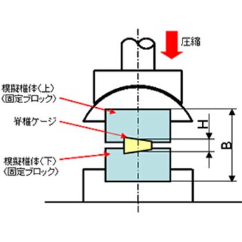 沈み込み試験