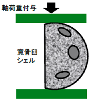 シェルの内径変化量測定