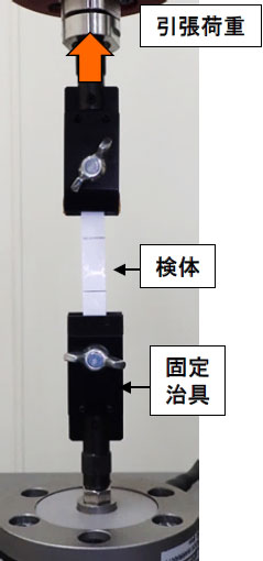 試験写真