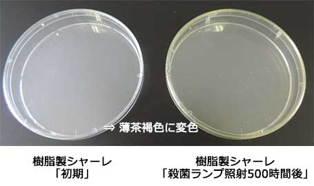 照射前・後の外観